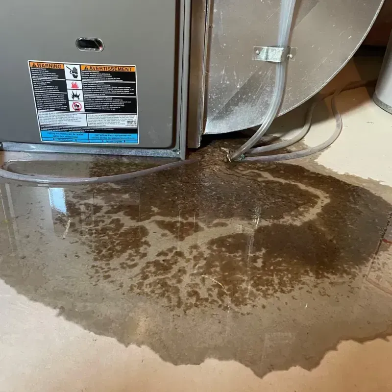 Appliance Leak Cleanup in Clinton, MT